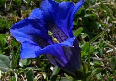 扎心的话语短句(合集50句)