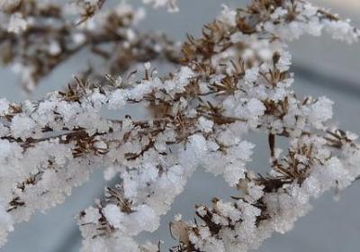 懂得享受生活的短句子(合集20句)