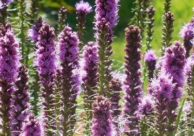 我愿意等你的句子(共44句)