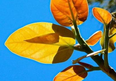 拒绝欠账的句子名言(优选10句)