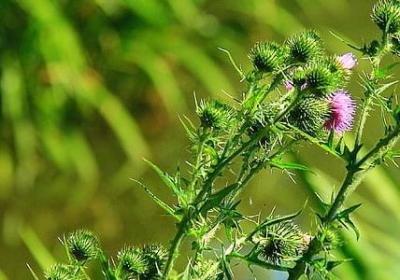 宿舍情谊的短句子唯美(热门50句)