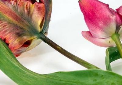 对不起爱人的短句子(实用49句)