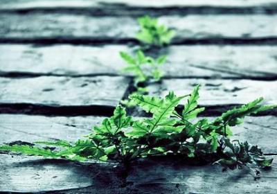 对你死心的句子(优选50句)