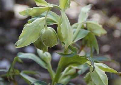 描写房间很乱的句子(合集20句)