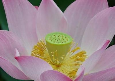 抖音八字短句情话(共50句)