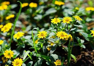 托业19天高频句子(40句)