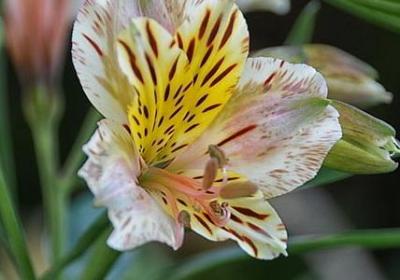 形容自己犯错的句子(20句)