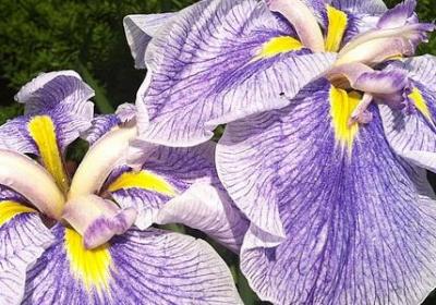 成功的好句子(通用30句)