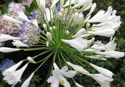 抖音里火的句子(合集40句)