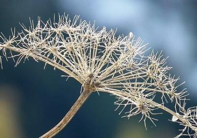 愿好人一生平安的短句(必备50句)