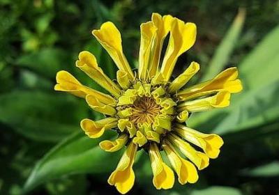 我姓施的专属句子(必备50句)