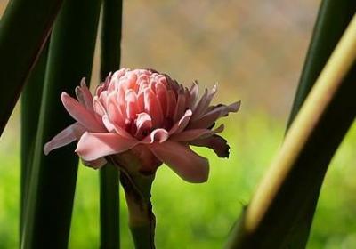 懂得反省的句子(推荐50句)