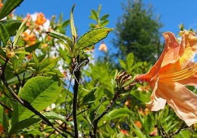 描写天气阴天的句子(优选50句)