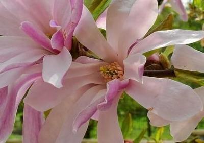 描写云雾变化的句子(必备50句)