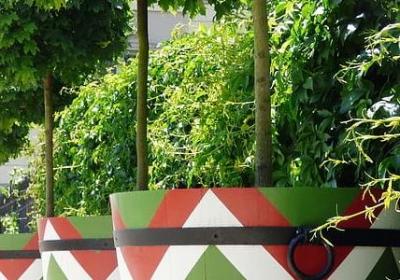 成熟与年龄无关的句子(通用10句)