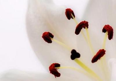 对未来的期许的句子(10句)