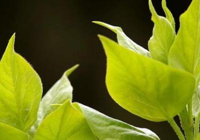 形容工人辛苦的句子(共50句)