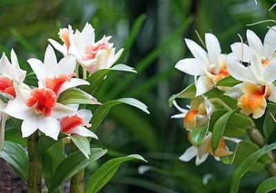 抖音唯美短句(50句)