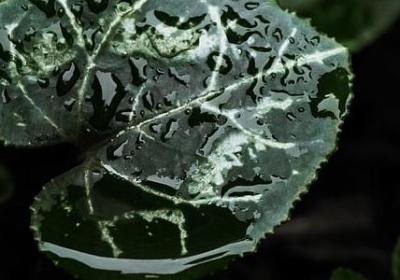 指不谦虚的句子(合集50句)