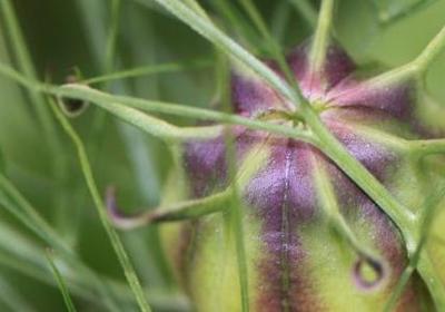 指手画脚造句子(合集30句)