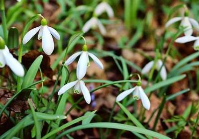 抒情短句子不超十字(共20句)