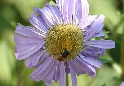 感恩恋人的句子(50句)