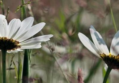 描写昆明湖的句子(汇总11句)