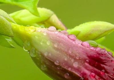 抖s短句(50句) 抖s短句(50句)