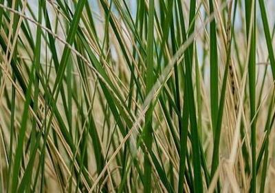 我爱你的经典句子(精选50句) 我爱你的经典句子(精选50句)