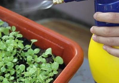 我姓黄的专属句子图片(汇总60句) 我姓黄的专属句子图片(汇总60句)