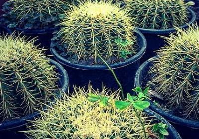 扩列短句(100句) 扩列短句(100句)