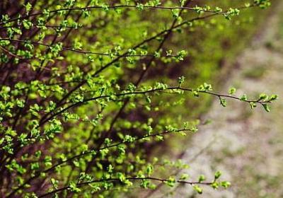 描写心态好的句子(49句) 描写心态好的句子(49句)