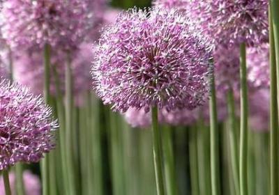 担心女朋友的句子(汇总20句) 担心女朋友的句子(汇总20句)