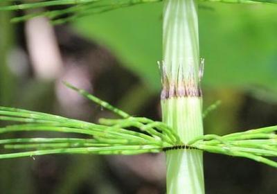 把句子整理成一句话(精选4句) 把句子整理成一句话(精选4句)