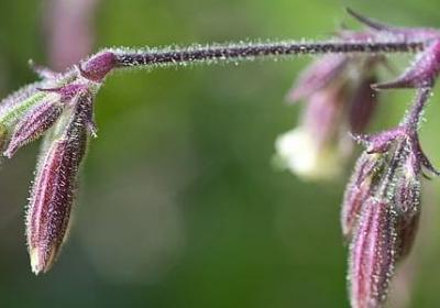 指路人的句子(必备34句) 指路人的句子(必备34句)