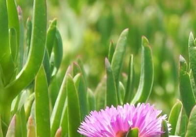 戒指和爱情的句子(必备40句) 戒指和爱情的句子(必备40句)