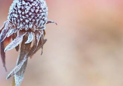 描写懵懂爱情的句子(实用50句) 描写懵懂爱情的句子(实用50句)