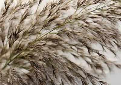 把英语句子翻译成中文(汇总100句) 把英语句子翻译成中文(汇总100句)