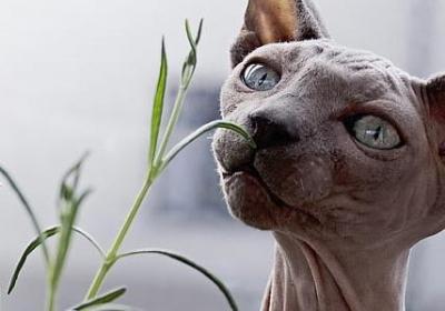 拍一拍短句(优选50句) 拍一拍短句(优选50句)