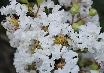 手机欠费搞笑的句子(精选40句) 手机欠费搞笑的句子(精选40句)