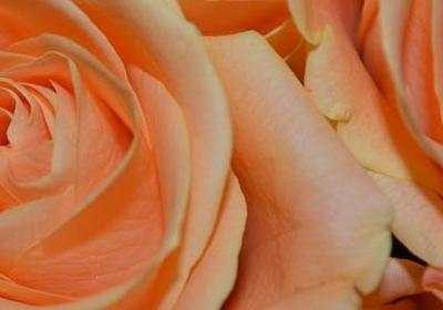 抬头看看天空的句子(通用51句) 抬头看看天空的句子(通用51句)