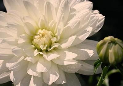 形容女生安静好的句子(汇总50句) 形容女生安静好的句子(汇总50句)