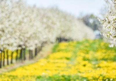 感叹人生的短句子(优选50句) 感叹人生的短句子(优选50句)