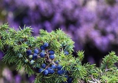 形容男人床上猛的句子(合集30句)