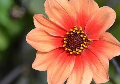 懂得反思励志句子(热门50句)