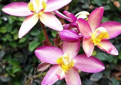 成熟男人的说说短句子(共20句)