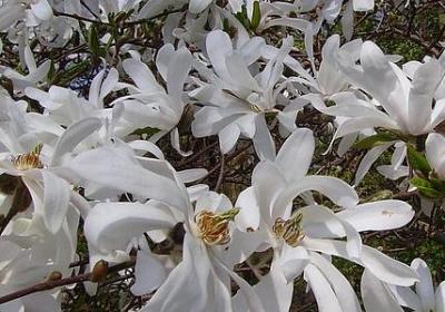 形容一个人脾气不好的句子(实用60句)