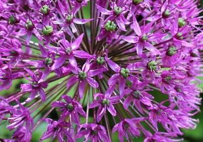 押韵损人的短句子(通用48句)