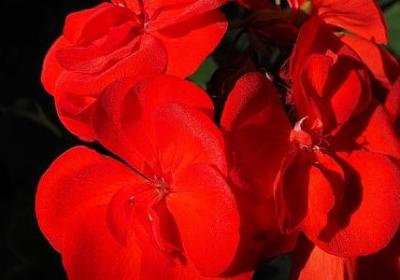 想见又见不到的句子(合集50句)