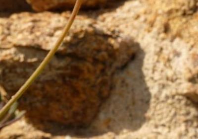 形容味道好的句子(合集50句)